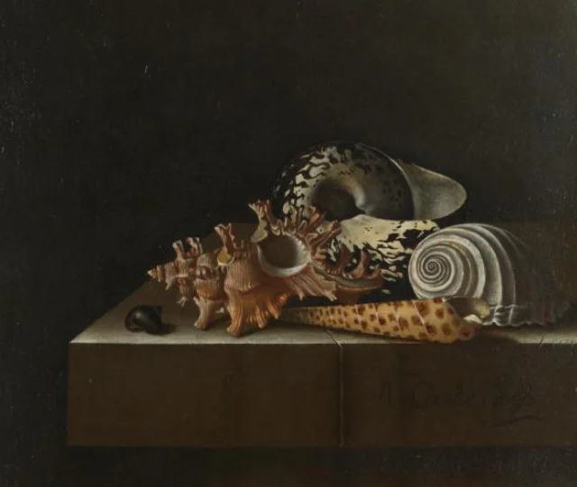 Shells on a Stone Plinth