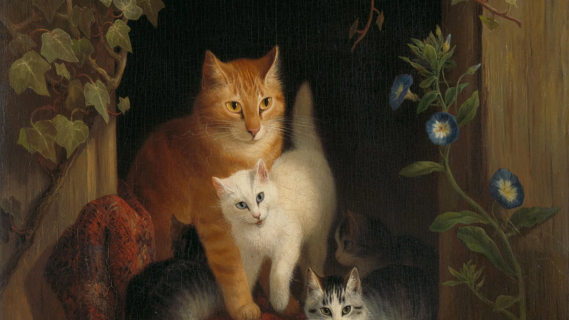 Cat with Kittens