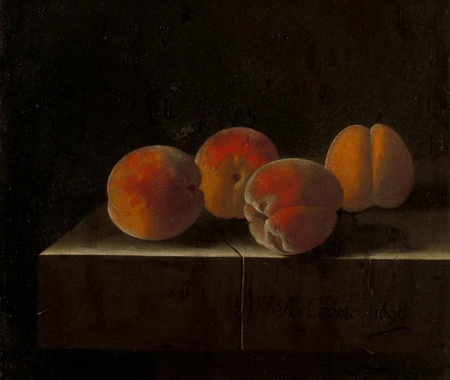 Four Apricots on a Stone Plinth
