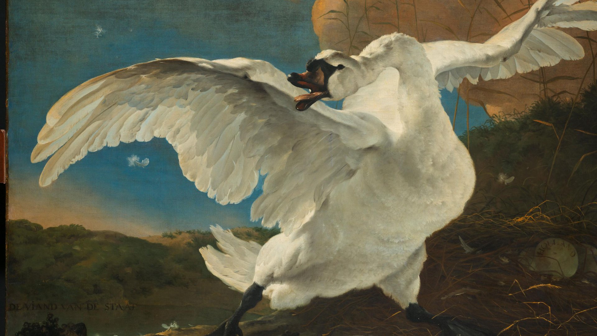 The Threatened Swan