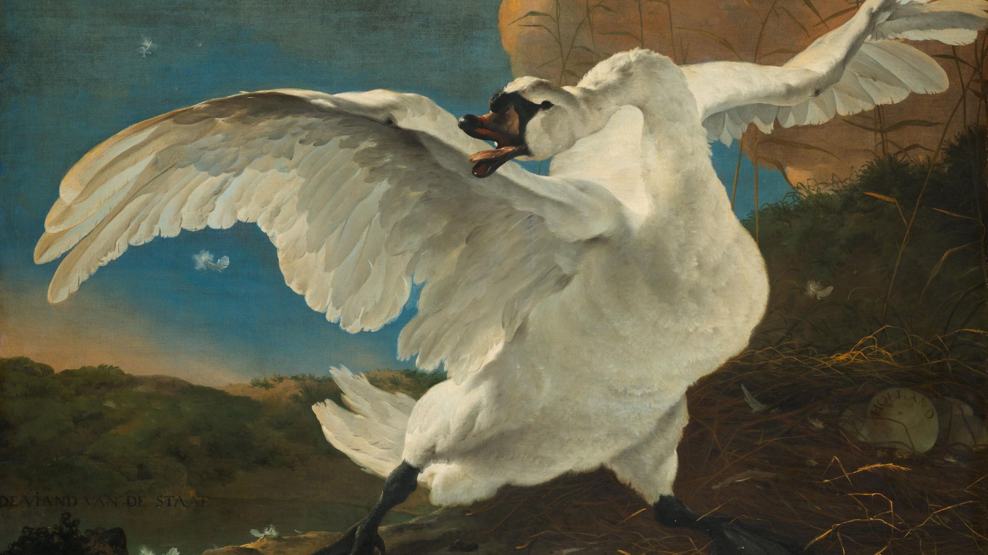 The Threatened Swan