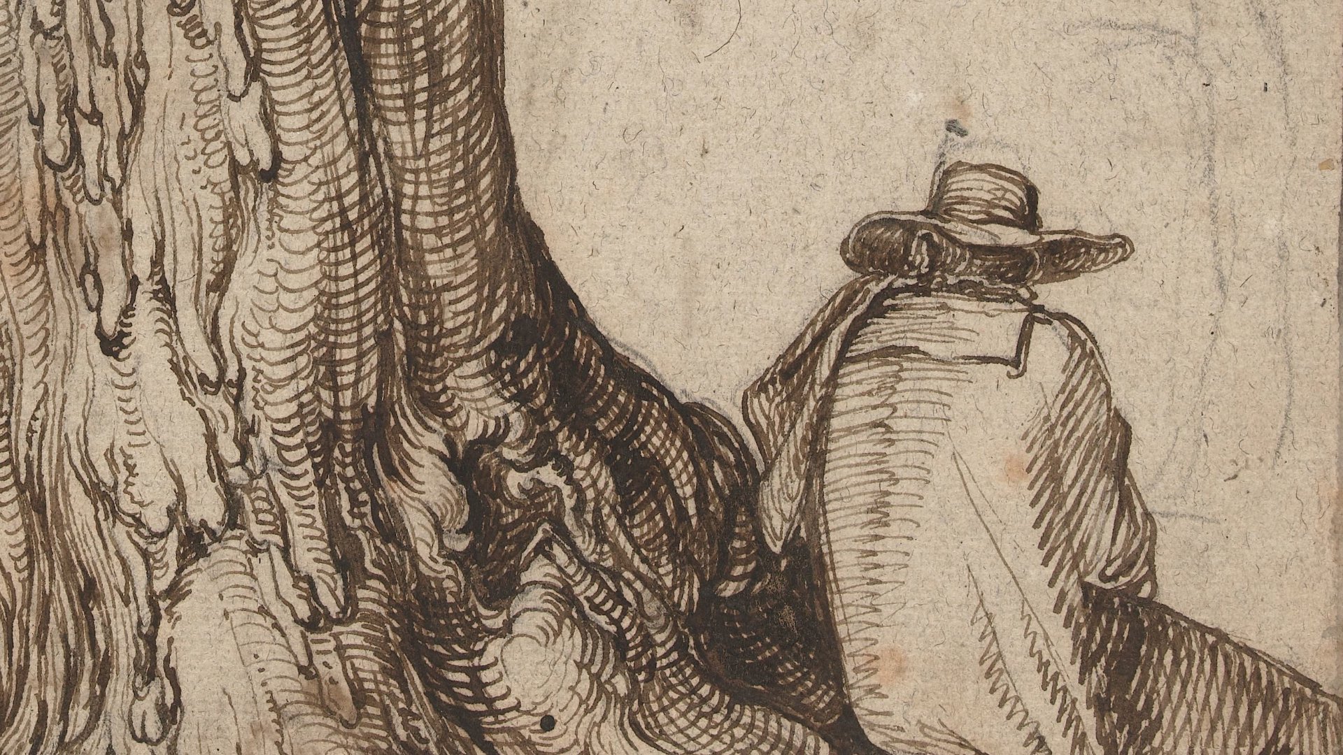 Study of a tree trunk