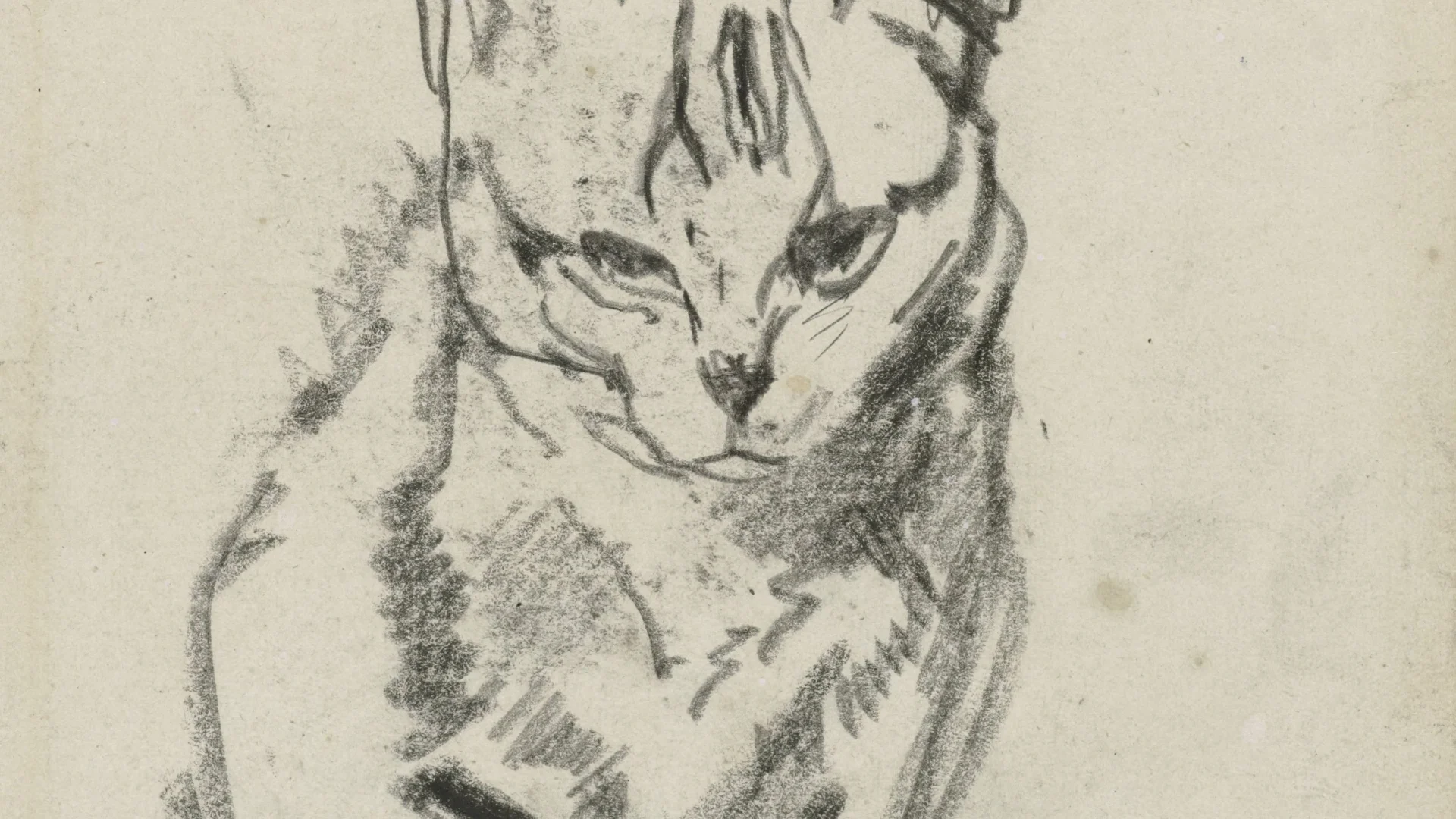 Seated Pussycat