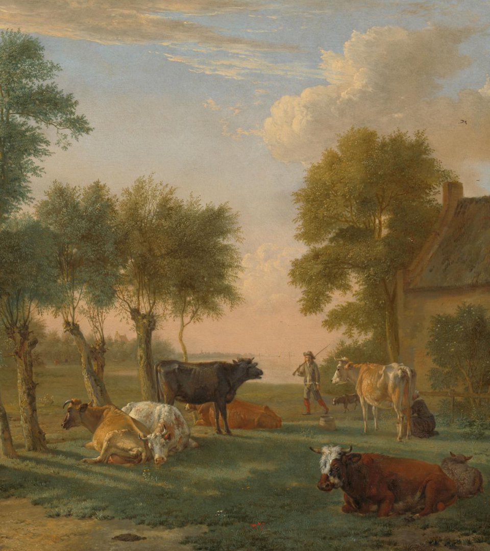 Cows in a Meadow near a Farm